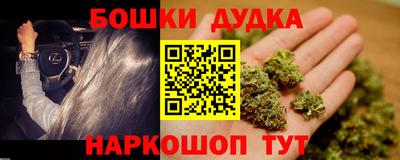 индика Будённовск