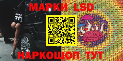индика Будённовск