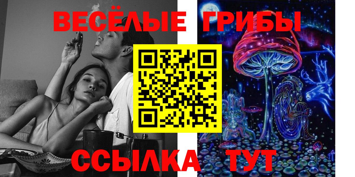 Галлюциногенные грибы мицелий  Вход с VPN  Пушкино 